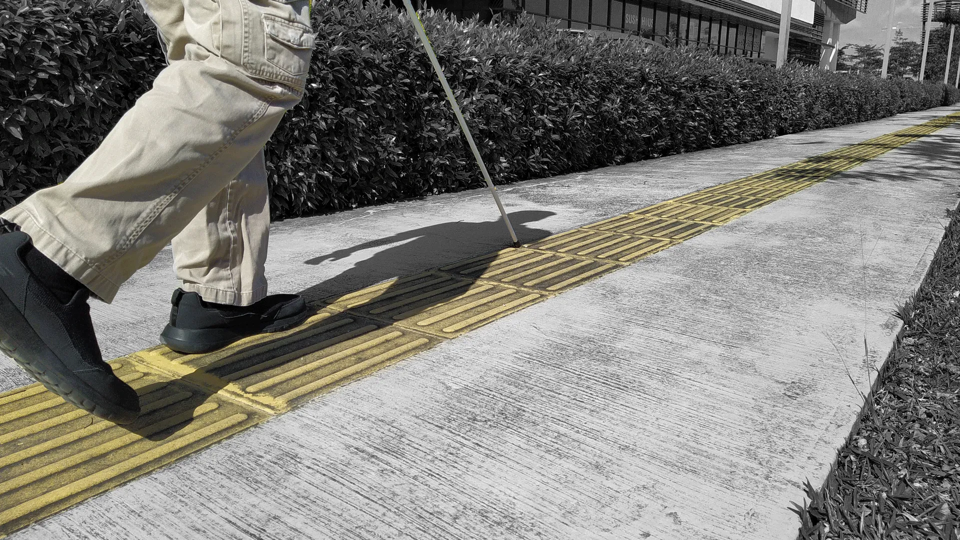 BAWA Tech Blog: Learn how to use a white cane